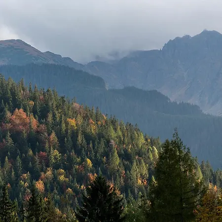 Widokowa Wojnar 3*