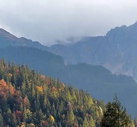 Widokowa Wojnar Zakopane