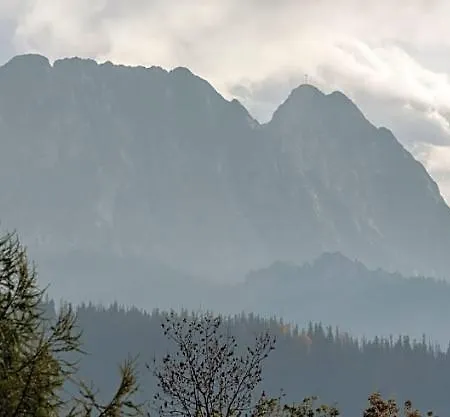 Widokowa Wojnar 자코파네