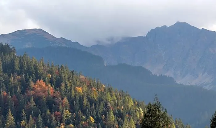 Widokowa Wojnar ザコパネ